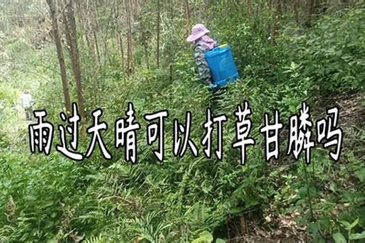 爬墙虎成灾如何消灭