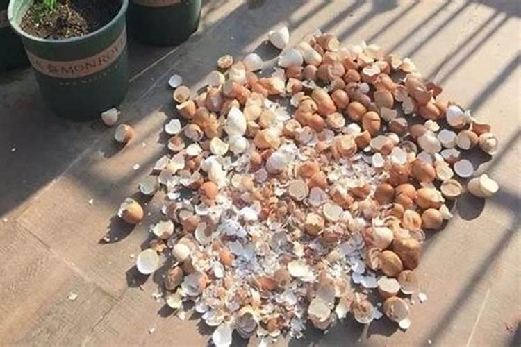 钙镁叶面肥是酸性还是碱性？