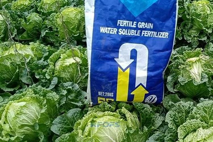 种植大豆需要上多少肥都上什么肥