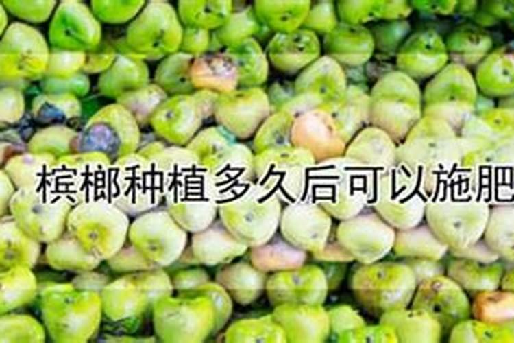 我种的篱笆架露天巨锋葡萄请问现在己有十年树龄了,施