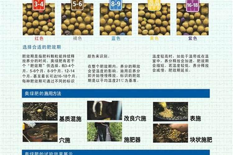 花生什么时候施肥,花生施肥时间,如何施肥