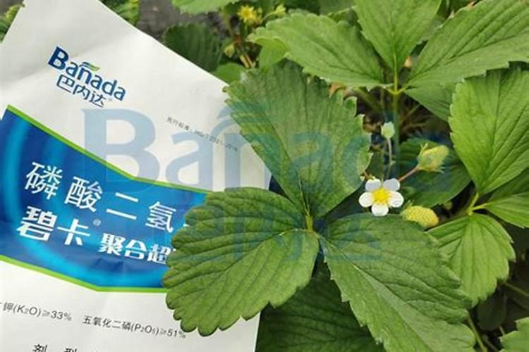 社科双效期刊是什么意思