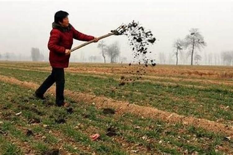 复合肥氮肥钾肥磷肥区别是什么