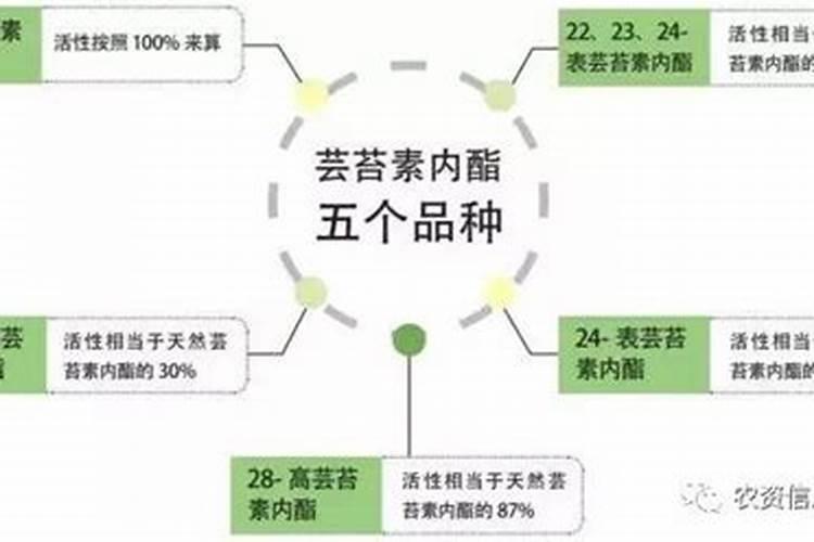 含磷高的食物有哪些