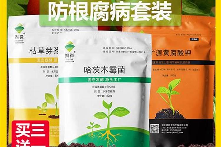 枯草芽孢杆菌和矿源黄腐酸钾那个好