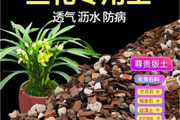 杜鹃花期如何浇水施肥