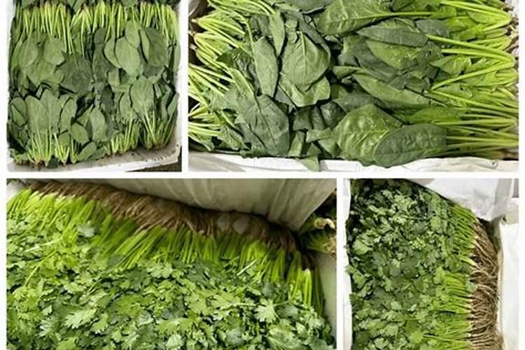 叶菜类蔬菜用什么肥料比较好