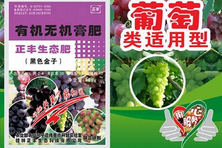 葫芦浇什么肥料合适
