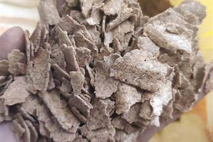 柠檬施什么肥最好