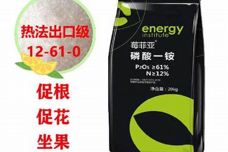 柑橘花芽分化用什么肥