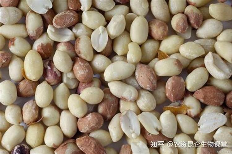花生需要施什么肥