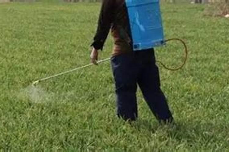 鱼蛋白,羊粪,豆粕肥可以一起用吗？