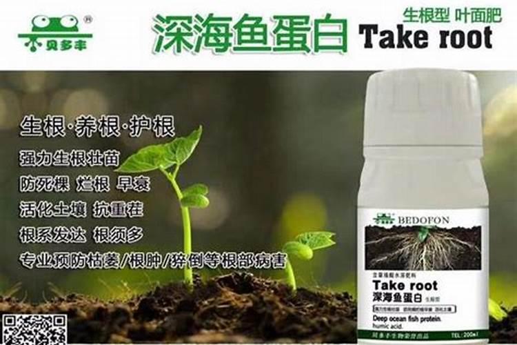 叶面肥和根部追肥有什么区别