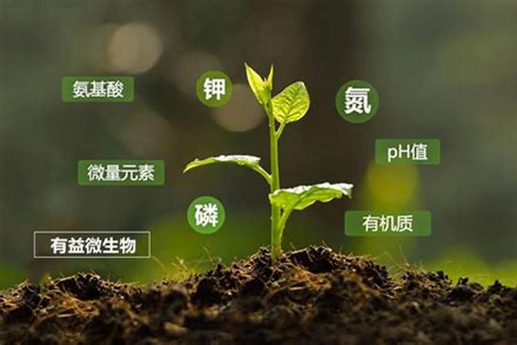 中量元素有哪些,对作物有什么作用,如缺乏有什么症状？