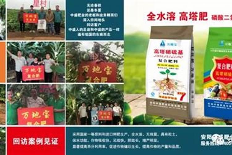 兰花浇什么肥料好