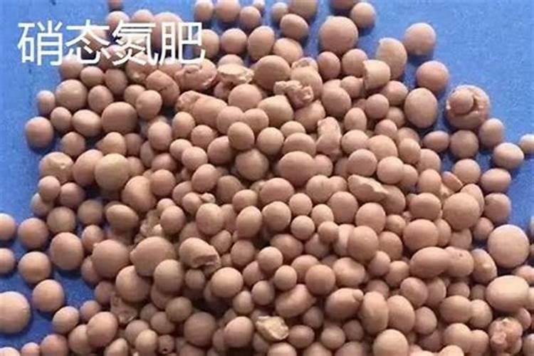 硝态氮是氮肥吗