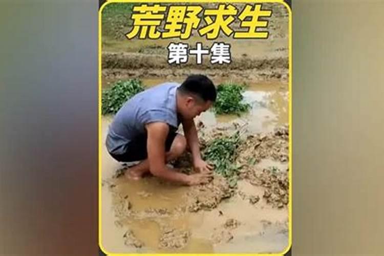 简易自制氮肥的方法是怎样的