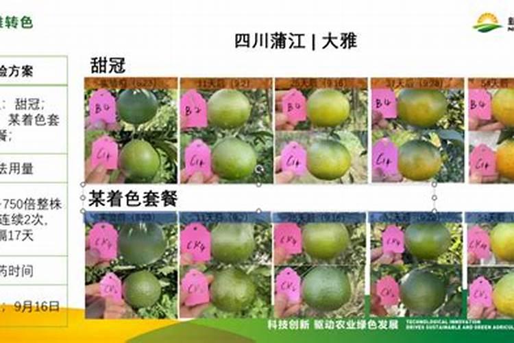 葡萄转色期,钾肥您用对了吗