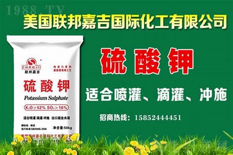 钾肥价格持续上涨,今日钾肥多少钱一吨？