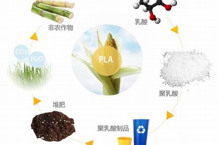 大米如何快速发酵