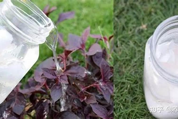 什么是腐植酸肥料