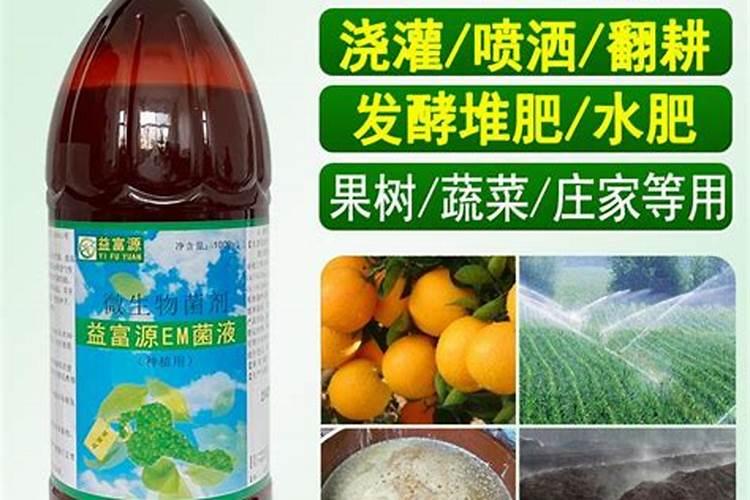 石榴树如何做防寒 石榴树防寒方法介绍