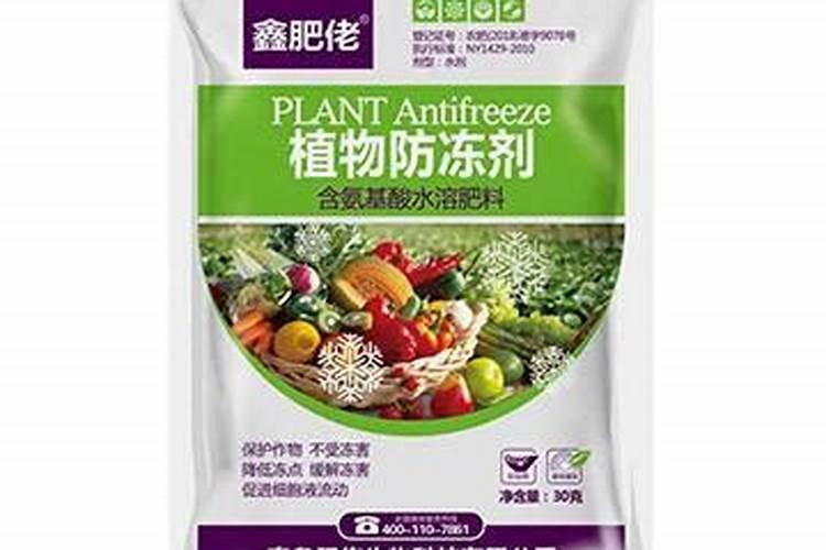 西红柿是什么情况？