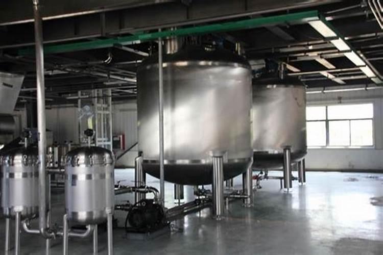 发财树冬季怎么养护和浇水