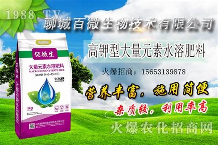 磷肥对植物的作用与功效