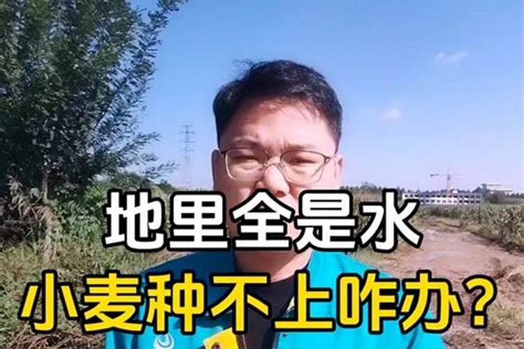 苹果谢花后第一遍打什么药 但不能重复喷施