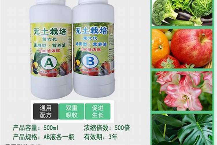 君子兰用什么叶面肥