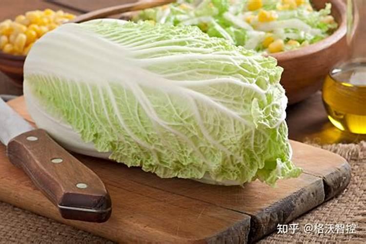 钾肥对果树花芽分化的作用