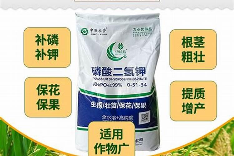 磷酸二氢钾是叶面肥吗