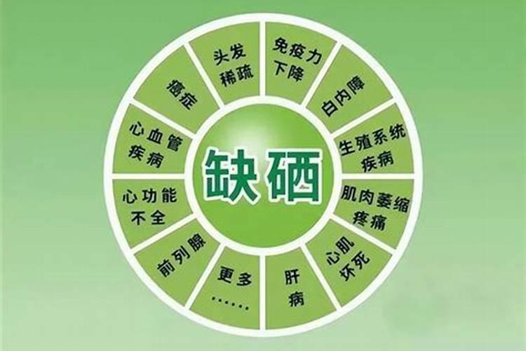 水稻施肥量和时间 水稻施肥用量和时间