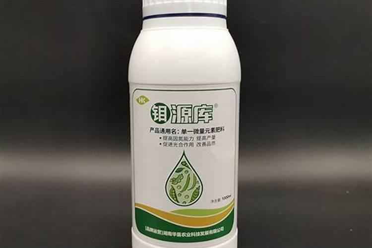 种花生用什么肥料最好高产
