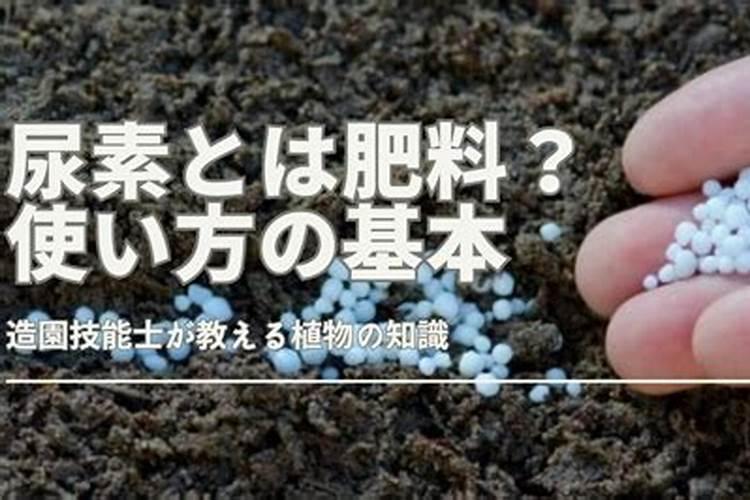 自制水溶肥配方比例