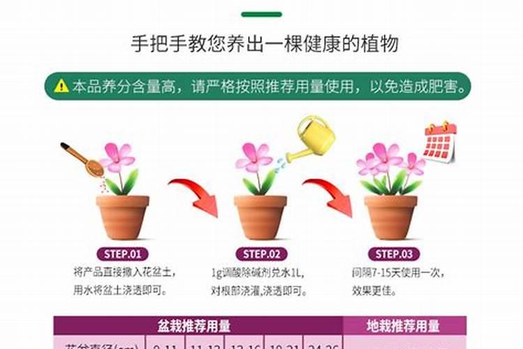 猕猴桃什么时候浇水好