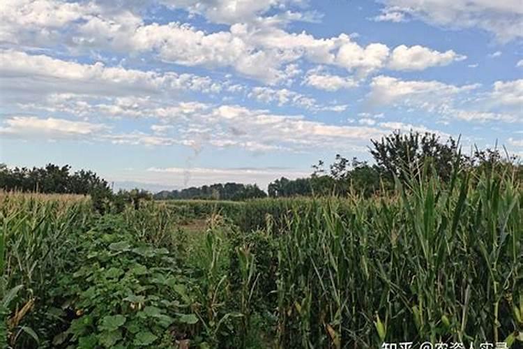 浙江新化化工股份有限公司怎么样