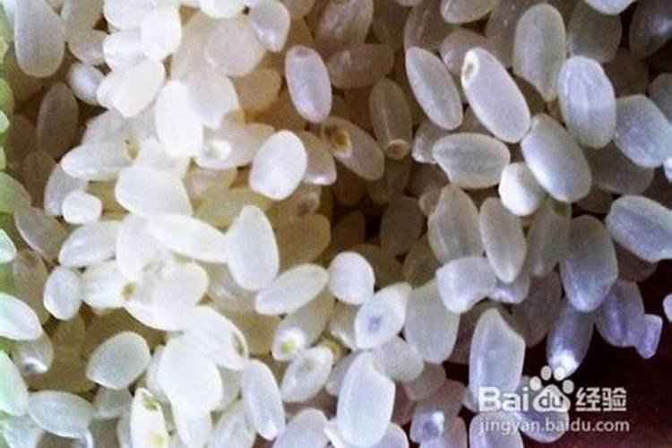 赤霉素:芸苔素:磷酸二氢钾:钙镁硼锌铁等叶面肥能在西瓜上混用吗？