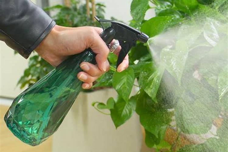 磷酸二氢钾的使用方法和用量