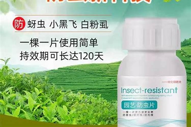 什么花用中微量元素肥