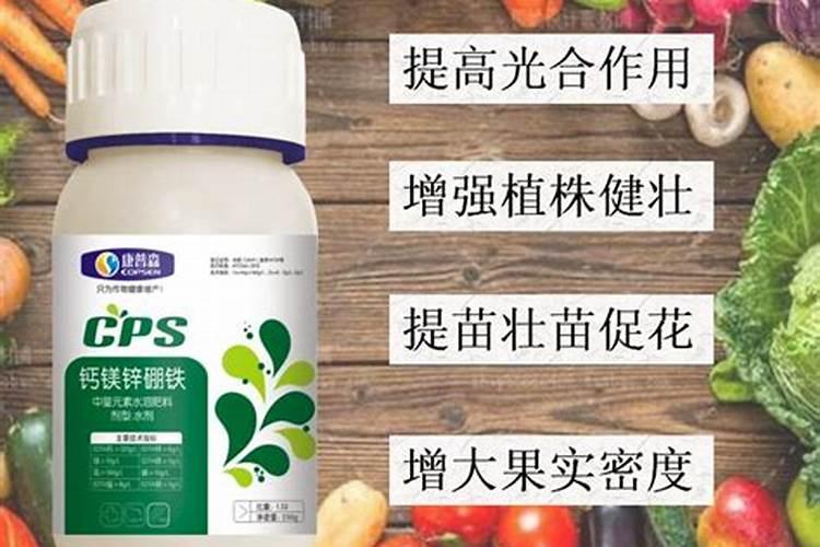 西红柿结果以后下面的叶子需要打吗