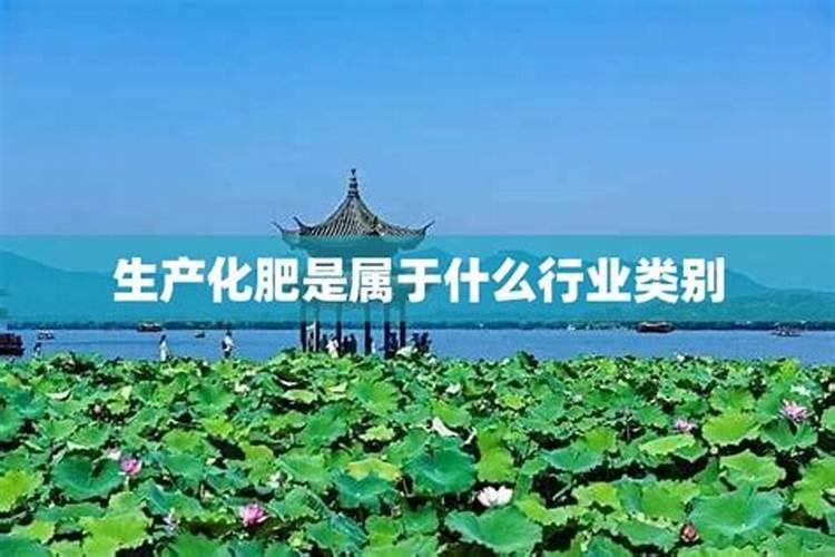 月季花叶子喷药后干枯了怎么办？