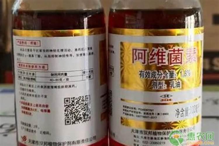 火龙果花苞期如何养护结果