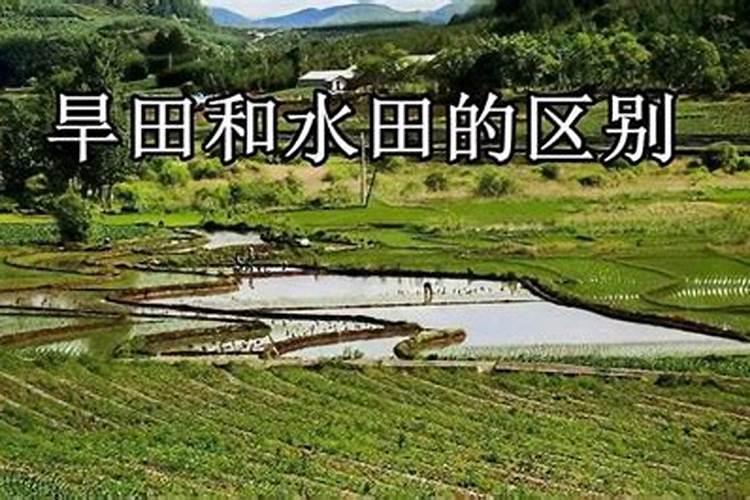 ...用了硫酸亚铁多次也不管用？怎么才能不让叶子发黄呢