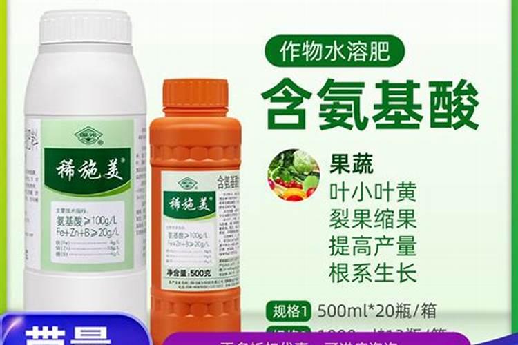 谷子的养殖方法