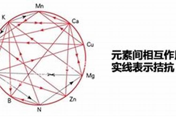 硼肥的10大禁忌