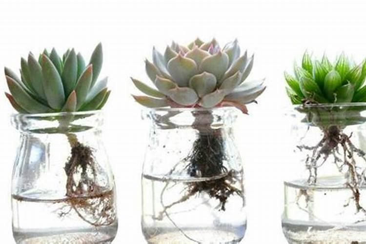 ...是刚开始把排骨放在水里煮一下的那个汤还能要吗？