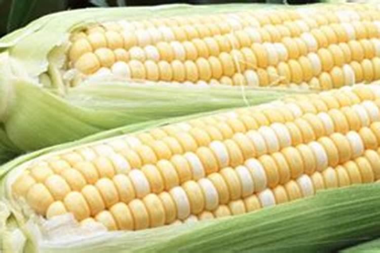 草木灰为什么不能和铵态氮肥混合使用