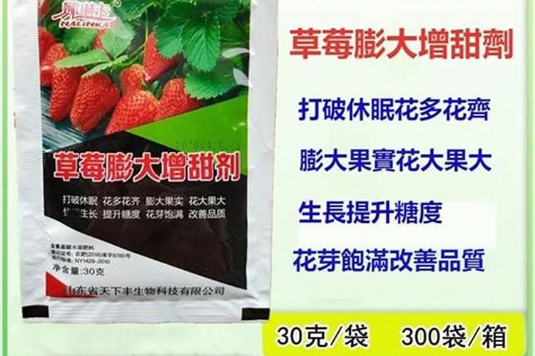 草莓专用肥是什么肥料,草莓施入氮磷钾肥的作用